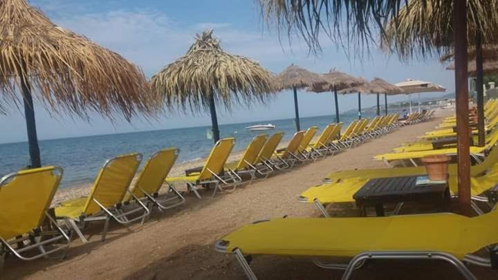 Amber'S Home Alexandroupoli Bagian luar foto
